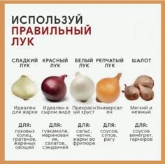 an image of onions and onions in different colors on a white background with russian text