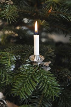 a lit candle in the middle of a christmas tree