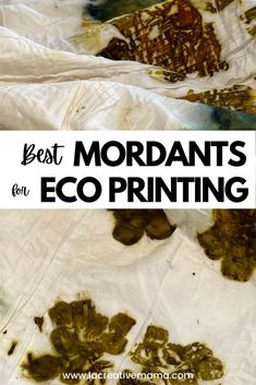 the words best mordants for eco printing are in front of an image of leaves