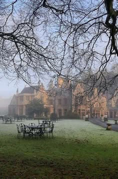 an empty park with tables and chairs in the foreground, on a foggy day