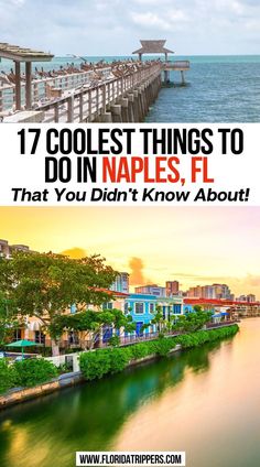 17 Coolest Things To Do In Naples, FL That You Didn't Know About! Naples Travel, Florida Activities, Bonita Springs Florida