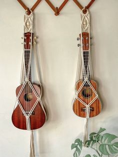 two ukulele hanging on the wall next to a potted plant