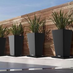 four black planters are lined up against a wooden wall with grass growing in them