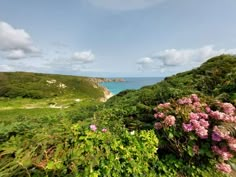 some pink flowers on the side of a hill next to water and clouds in the sky