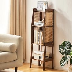 a living room with a chair, bookshelf and plant