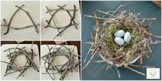 four pictures of birds nest with twigs and eggs