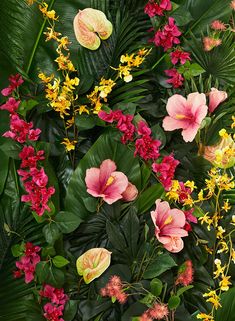 an arrangement of tropical plants and flowers in pink, yellow, red and green colors