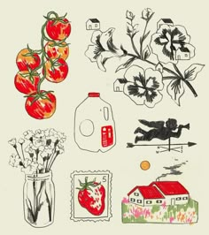 an image of flowers and fruit in vases on a white background with red accents