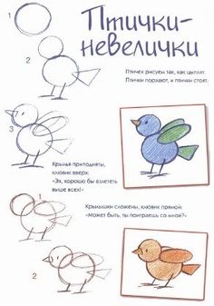 the instructions for how to draw birds with colored pencils and markers, in russian