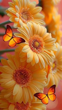 yellow flowers with orange butterflies on them