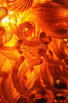 close up view of many orange wires