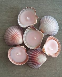 several seashells are arranged on a table with one candle in the middle and two empty ones