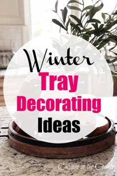 a table with a potted plant on it and the words winter tray decor ideas