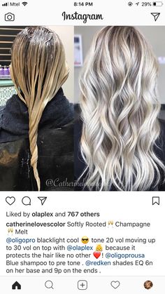 Champagne Ice Blonde Hair, Redken Champagne Blonde Formula, Ice Hair, Beach Hairstyles For Long Hair, Redken Shades Eq, Gray Hair Highlights