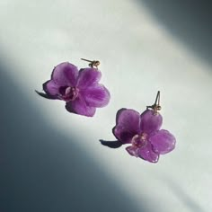 two small purple flowers are sitting on a white surface