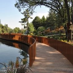 a wooden walkway next to a body of water