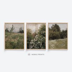 three paintings depicting trees and flowers on a white wall with the words noble prints above them