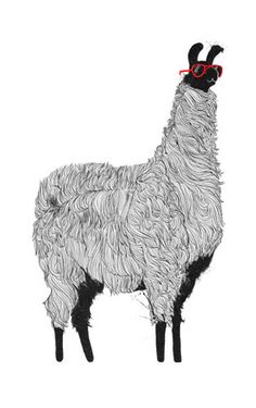 a drawing of a llama with sunglasses on it's head, standing in front of a white background