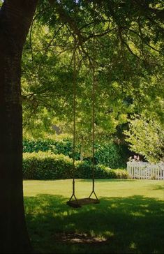 a swing hanging from a tree in a park