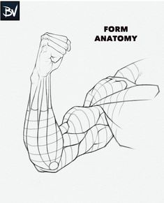 the arm muscles are drawn in black and white, with text that reads form anatomy