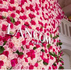 pink and white roses are arranged on the wall at lancomi palace in paris