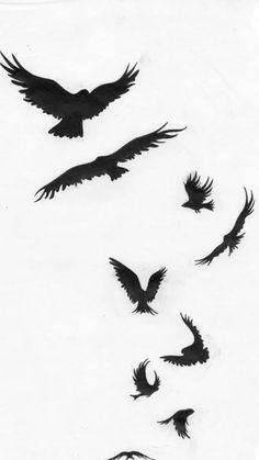 black and white drawing of birds flying in the sky