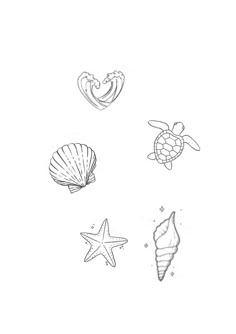 four seashells and starfish on a white background