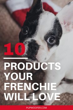 a small black and white dog with the words 10 products your frenchie will love