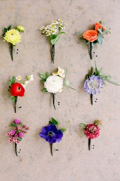 six different colored flowers are arranged on the floor in order to look like they have been placed together