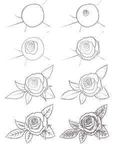 four roses with different shapes and sizes, each drawn in one point on the paper