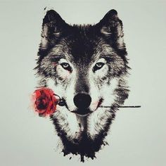 a drawing of a wolf with a rose in its mouth