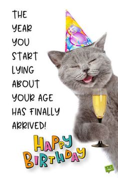 a gray cat wearing a birthday hat and holding a wine glass with the words happy birthday written on it