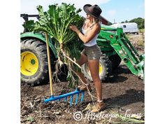 a woman standing next to a large green plant in the middle of a dirt field