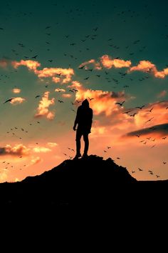 a person standing on top of a hill with birds in the sky behind them at sunset