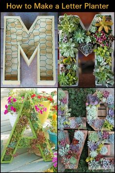 how to make a letter planter with succulents and other plants in it