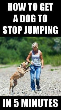 a woman walking her dog down a gravel road with the caption how to get a dog to stop jumping in 5 minutes