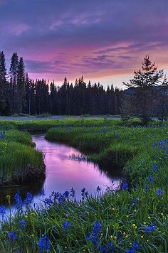 the sky is purple and pink as it sets over a small stream in a meadow