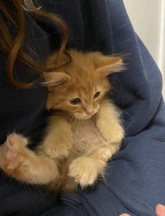 a woman holding a kitten in her arms with long hair on it's back