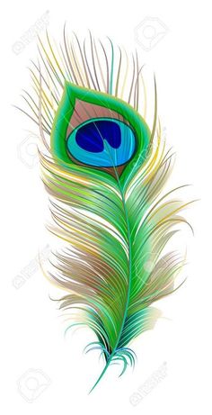 a peacock feather with green and blue feathers on it's tail, against a white background