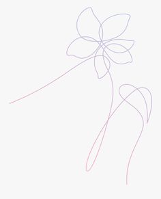 a line drawing of a flower on a white background with pink and blue lines in the center