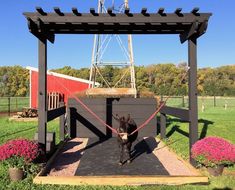 a horse tied up to a wooden structure