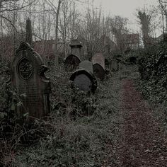 an old cemetery with many headstones in the woods