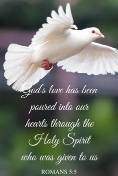 thanks a lot of my Father in the Lord Jesus Christ is my God, and thanks a lot of my God and joyful praise to my Lord Jesus Christ, that it's "God's love has been poured into our hearts through the Holy Spirit who was given to us." -romans 5:5. it's for us. it's the truth. Amen suik is a son of man in Christ 01:51 pm. 08.11. 2022 Romans Scriptures, Acts 5, Spirit Of Truth, Wallpaper Iphonewallpaper, Ayat Alkitab, White Dove, Inspirational Quotes God