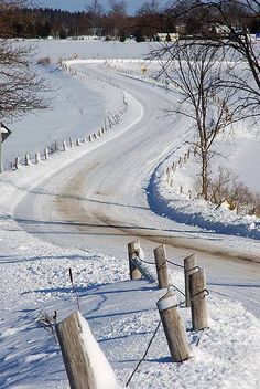 a road that is covered in snow next to some trees and fenced in area