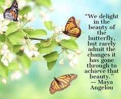 two butterflies sitting on top of a leafy branch with a quote about beauty in the background