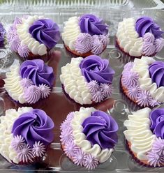 cupcakes with purple and white frosting in a plastic container