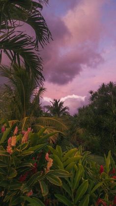 the sky is pink and purple as the sun sets in the distance behind some trees