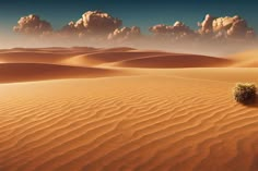 a lone tree is in the middle of a desert landscape with clouds above and sand dunes below