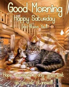 two cats are sitting on a bed with the caption good morning happy saturday god bless you