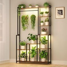 a shelf filled with potted plants on top of a wooden floor next to a window